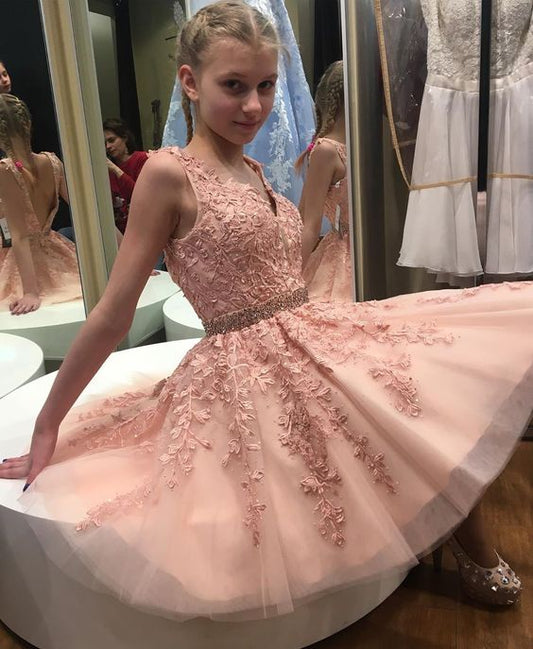 Princess A-line Short Pink Homecoming Dress C1435